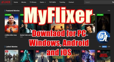 myflixer list|myflixer new site.